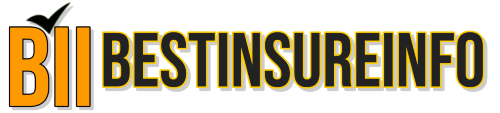 Bestinsureinfo.com